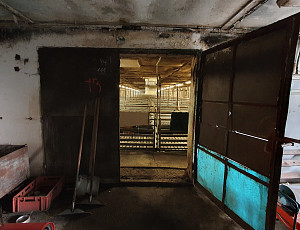 Rekonstrukce haly chovu prasat